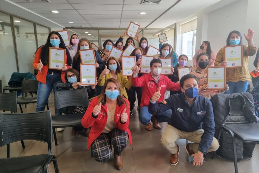 25 mujeres de la Provincia de Curicó fueron beneficiadas con el programa Capital Abeja Emprende de Sercotec