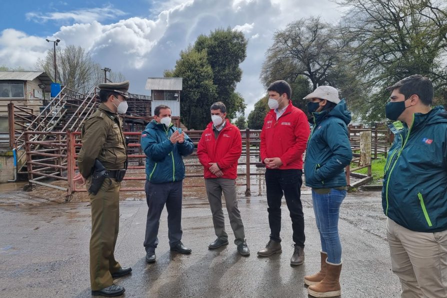 Delegado fiscaliza carnicerías y Feria de Animales previo a Fiestas Patrias