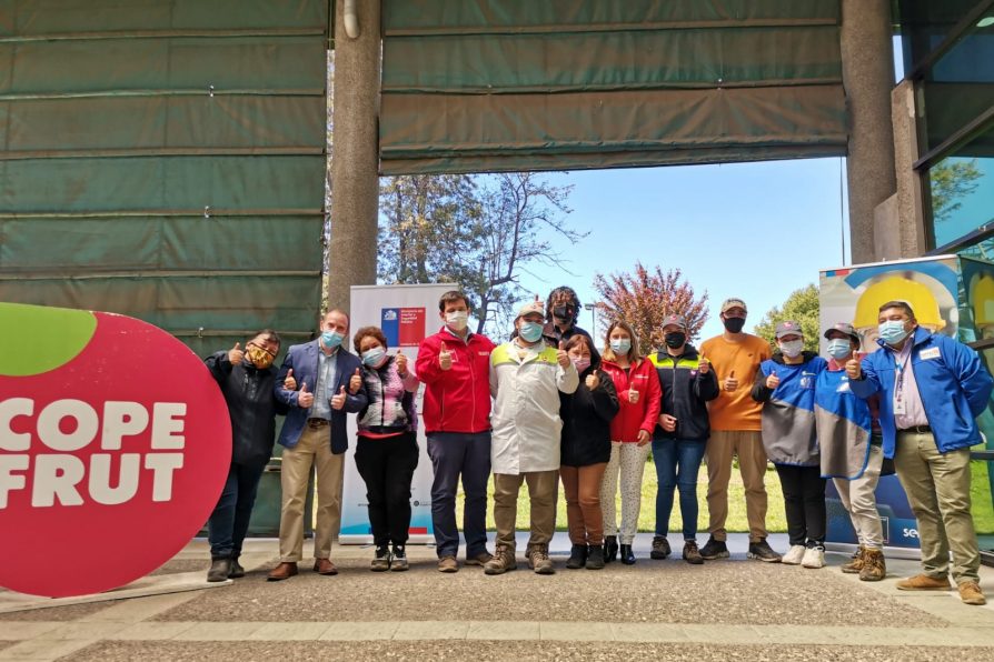 Más de 12 mil trabajadores maulinos han sido beneficiados con el IFE Laboral