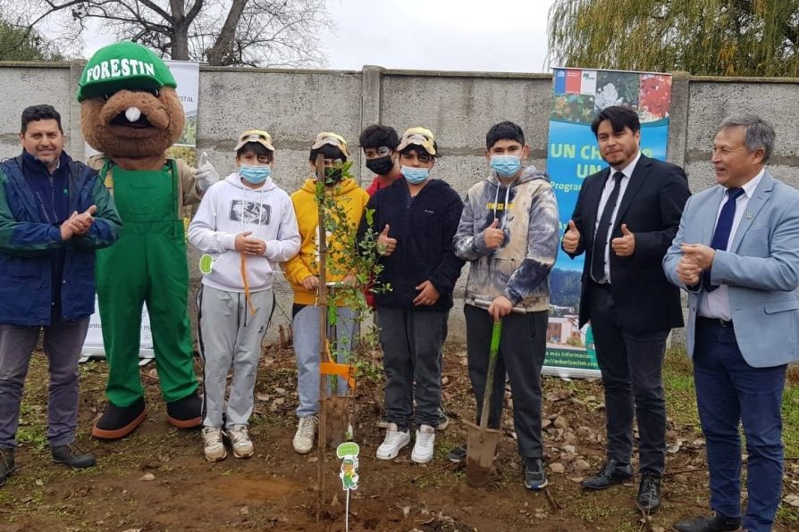 Conaf celebró su aniversario plantando árboles nativos con niños en Curicó