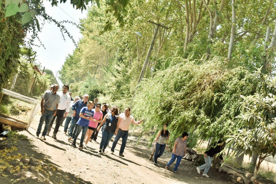 <strong>SEC Maule instruye a CGE ejecutar trabajos de poda en sector de Vista Hermosa tras reclamos de la comunidad</strong>