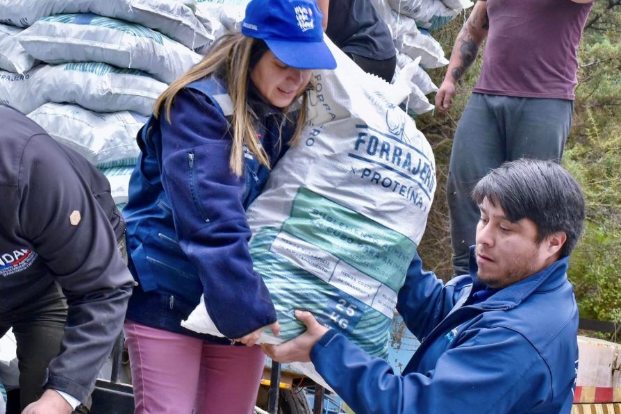 Afectados por temporal reciben ayuda en sector El Radal de Molina