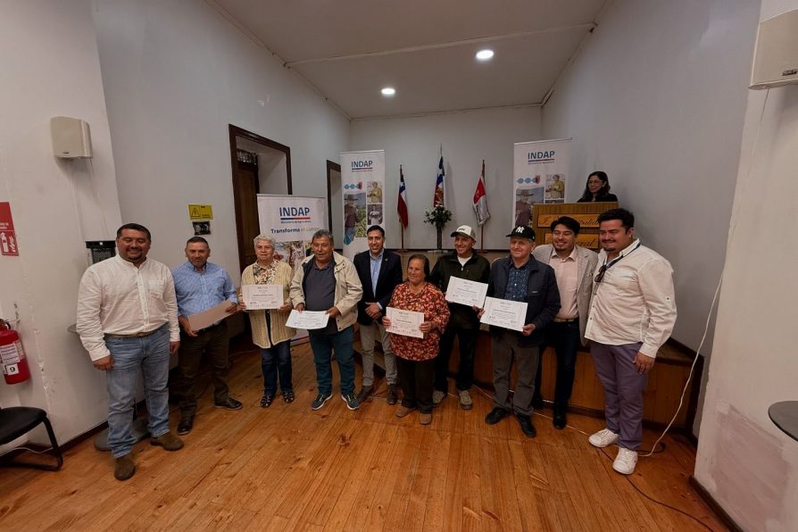 167 agricultores de Romeral y Teno reciben apoyo para sus cultivos de berries