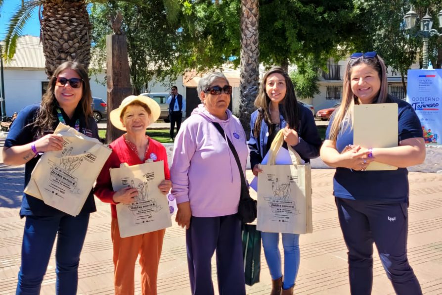 Gobierno en Terreno en Hualañé en el Día Internacional de la Eliminación de la Violencia Contra la Mujer