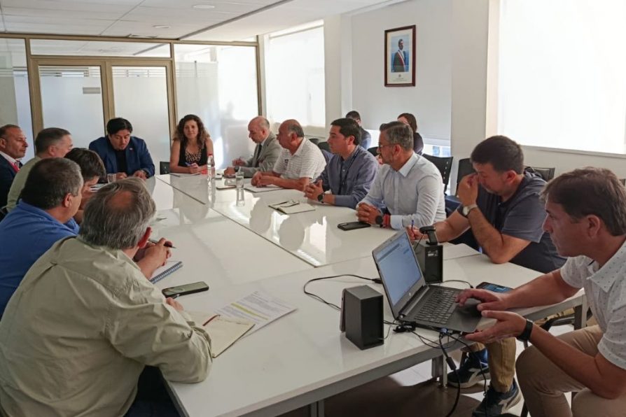 Delegado Presidencial José Patricio Correa confirmó que el lunes 15 de diciembre será la apertura del Paso Internacional Vergara