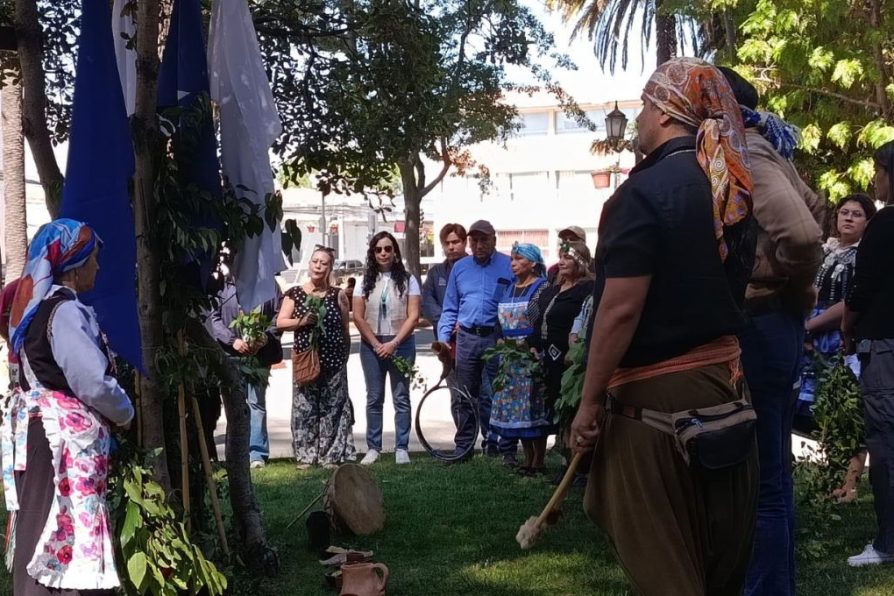 Maule celebra su primera Muestra de Arte y Cultura Indígena en la Plaza de Armas de Curicó