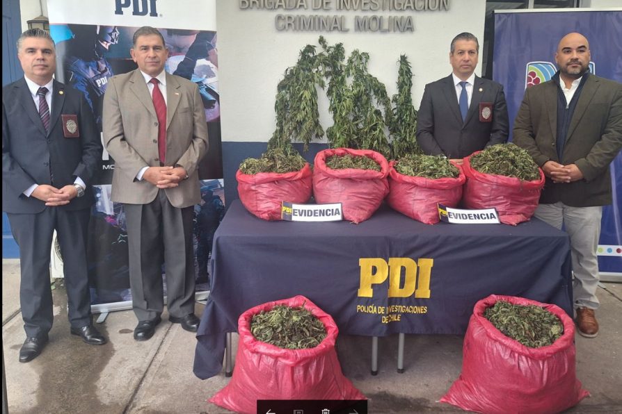 Delegado felicitó a detectives de la PDI por desarticular punto de cultivo y acopio de droga