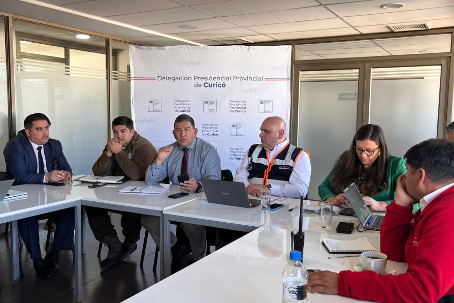 Delegado presidencial encabezó Cogrid Provincial con foco en el Plan Invierno