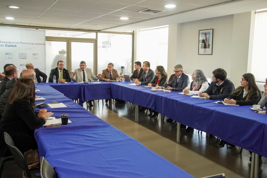 Delegado presidencial encabezó inédita Mesa de Trabajo con la Red de Educación Pública de la Provincia de Curicó