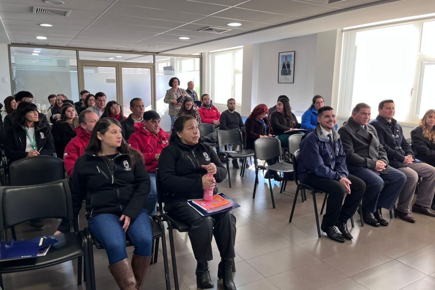 Capacitan a funcionarios municipales de la provincia de Curicó para aplicar Ficha Básica de Emergencias