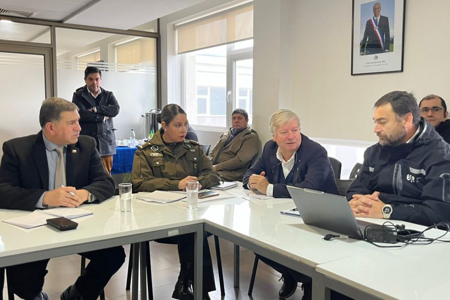 Delegado presidencial convocó a EFE y a la Municipalidad de Curicó para coordinar operativos de retiro de rucos