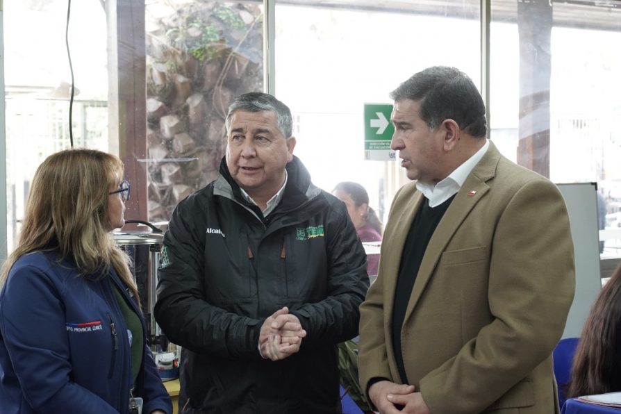 Gobierno en Terreno: Delegación Presidencial llega con Servicios Públicos a Comalle