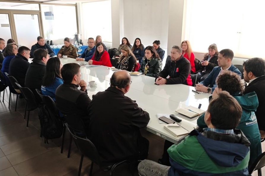 Delegación Presidencial Provincial encabezó Comité Técnico Asesor